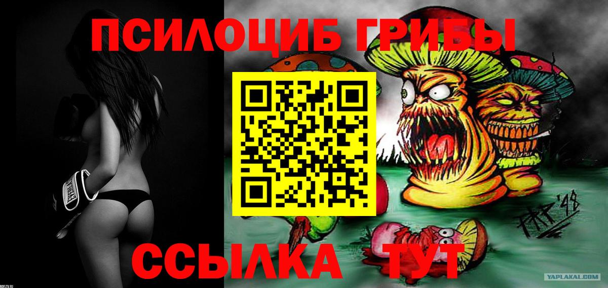 Лабинск  Псилоцибиновые грибы Cubensis  магазин    Вход с VPN  Галлюциногенные грибы Psilocybine cubensis 