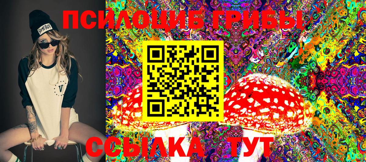 Псилоцибиновые грибы Psilocybine cubensis Лабинск